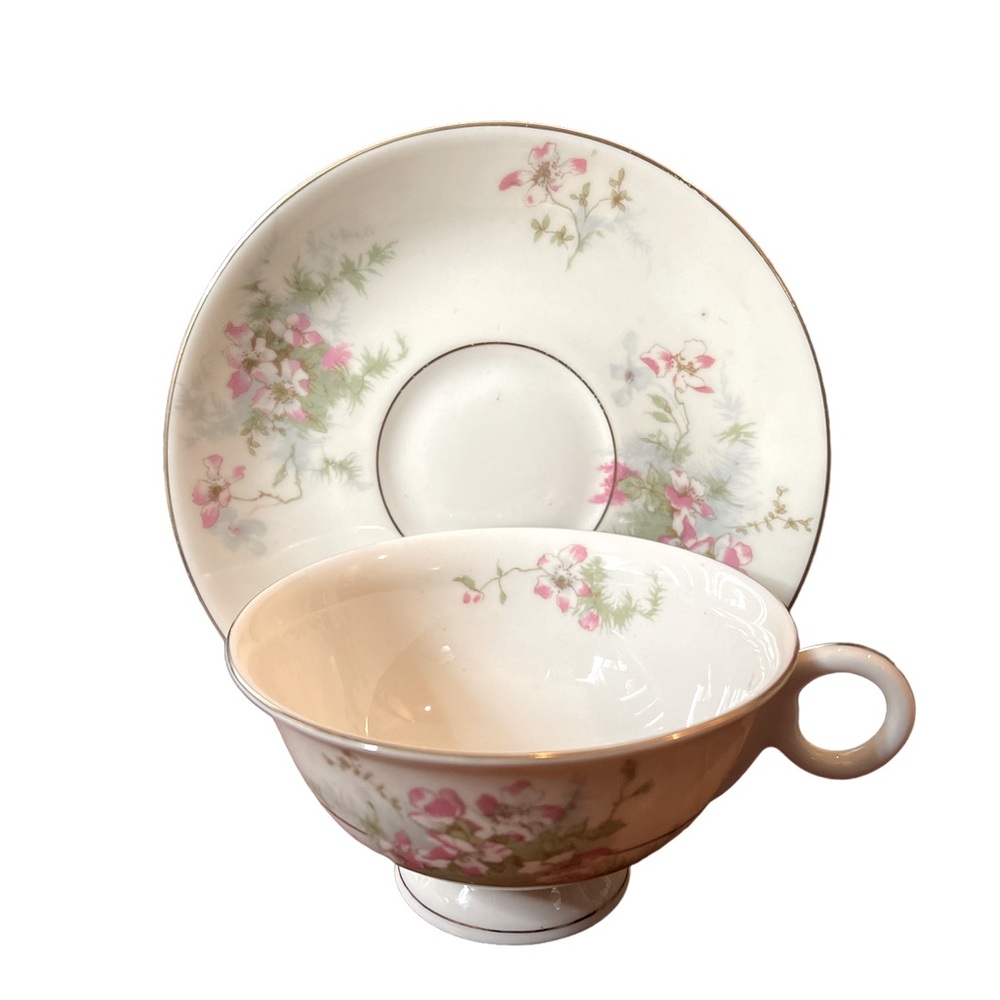 Vintage Apple Blossom - Footed Cup & Saucer Set by Haviland (New York)